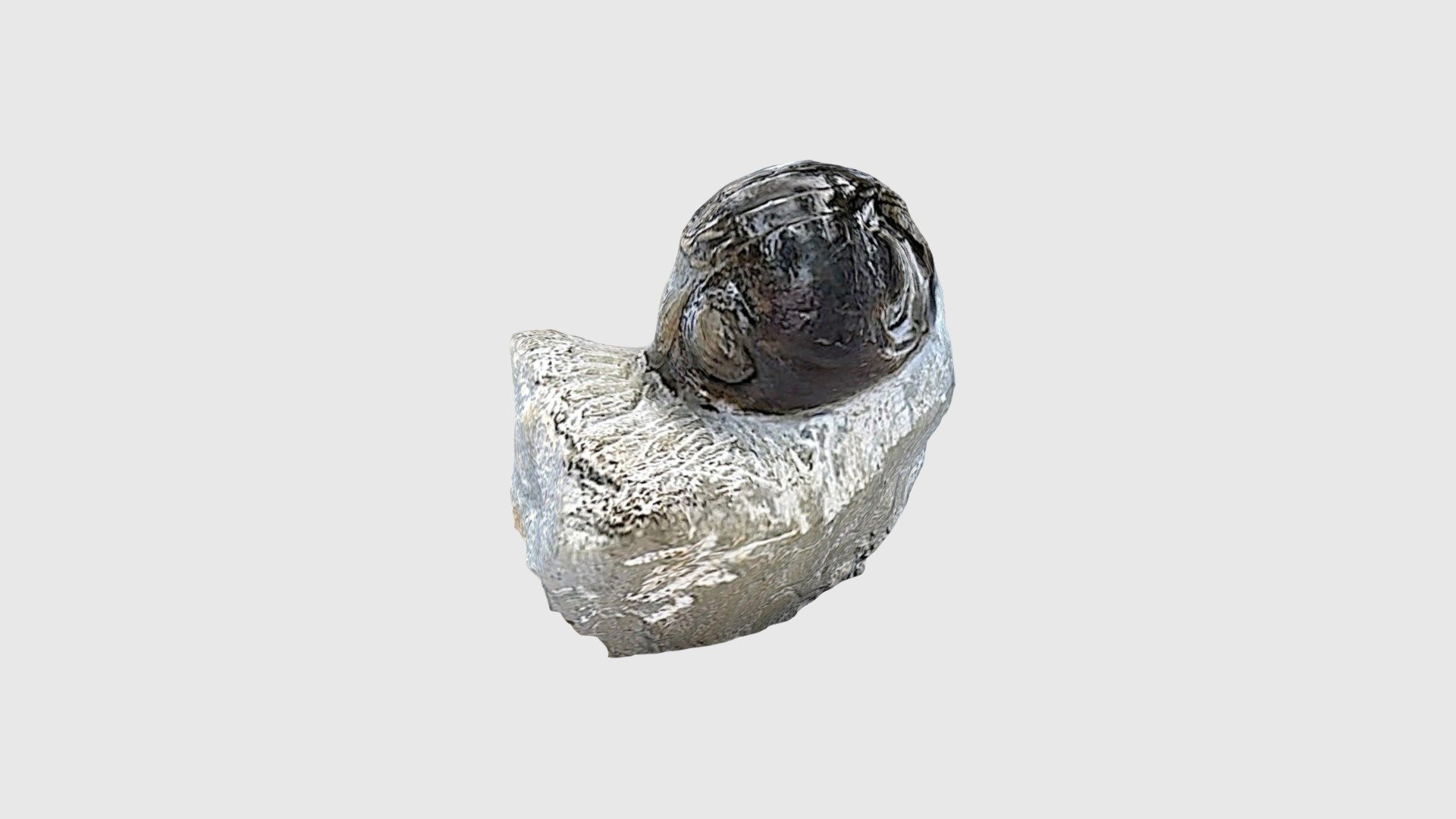 Nileus armadillo - Download Free 3D model by agyllingberg [62862d3 ...