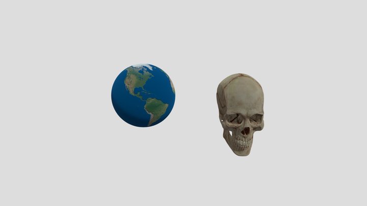 SkullMap 3D Model