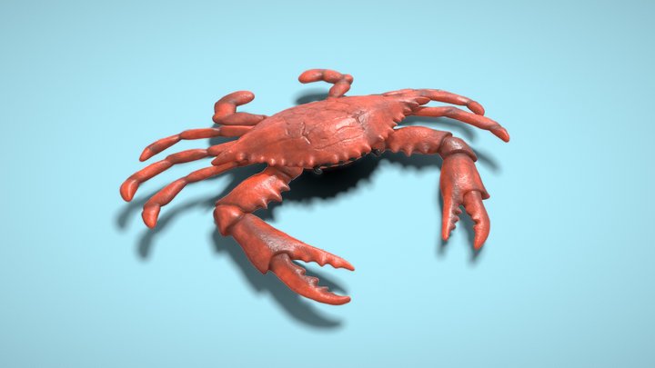 Crab 3D Model