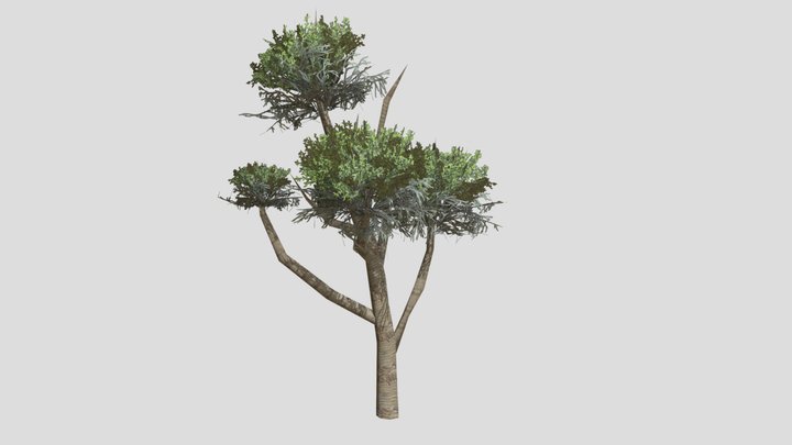 Prehistoric Tree_01 – Free 3D Model STL