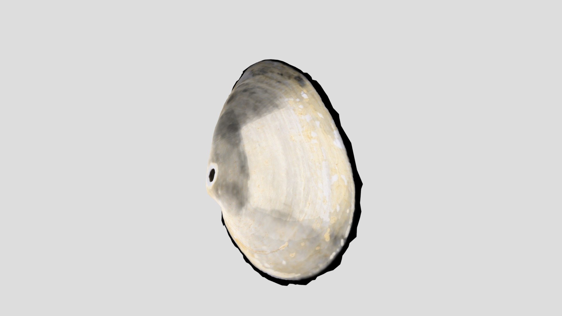 Sample 10