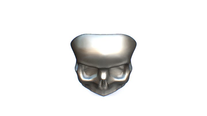 SKULL 3D Model