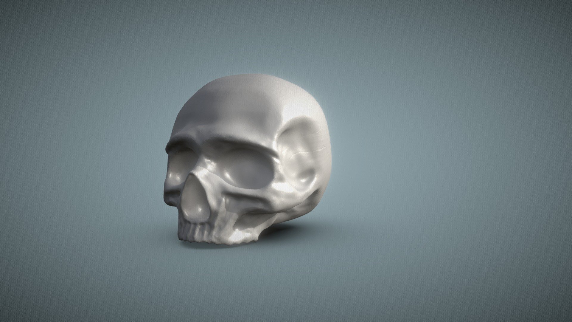 Skull