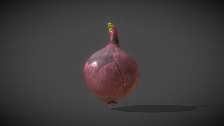 Red Onion - Photoscan 3D Model