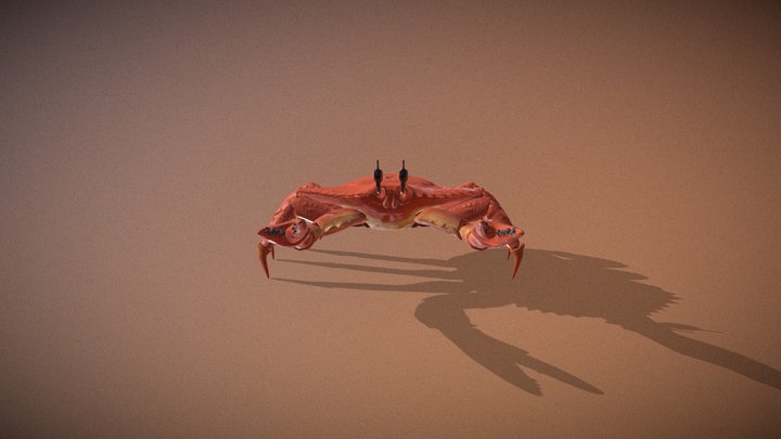 Giant Crab 3D Model