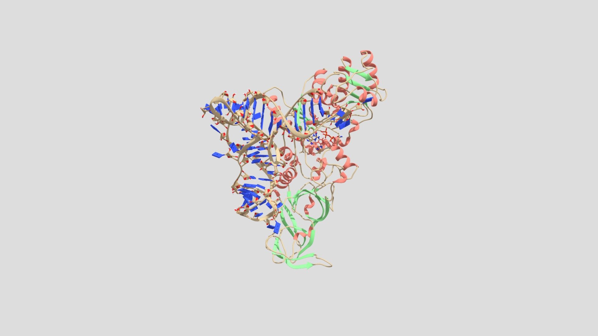 Glutaminyl-tRNA synthetase - 1QRT - 3D model by hugo.ayuso [6298502 ...