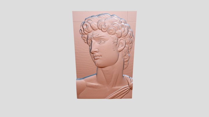 A Relief of David 3D Model