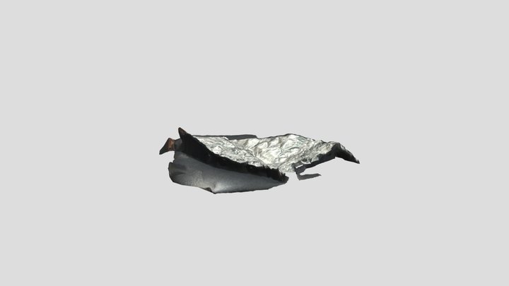 Wild foil 3D Model