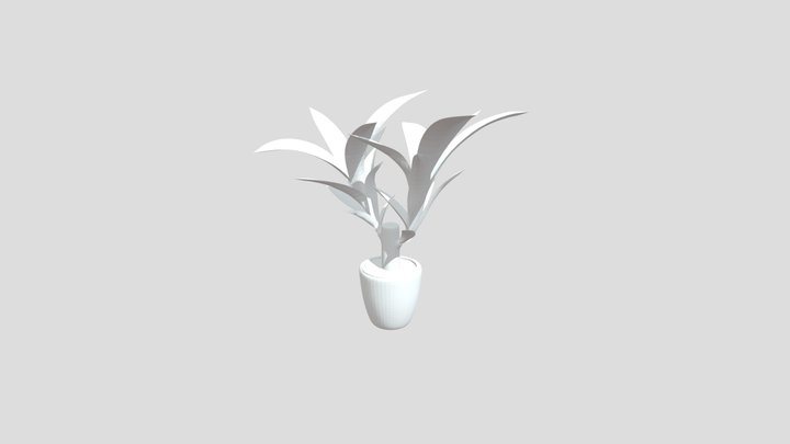 Varikosette-كيف تستعمل -إبداعي -مقابل 3D Model