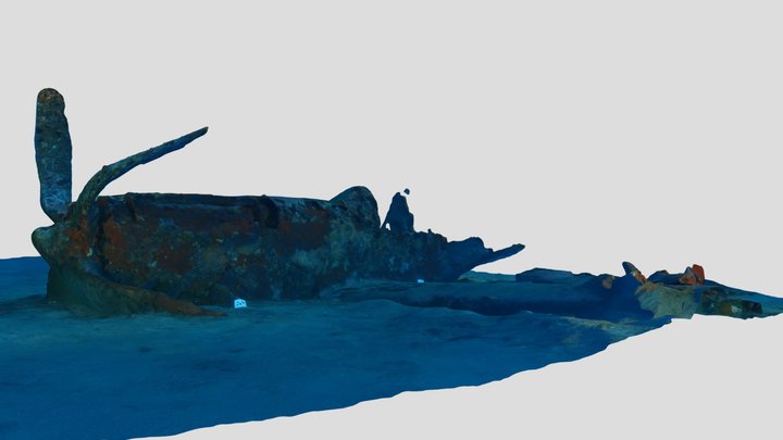P51 wreck - Presqu'ïle de Giens - France 3D Model
