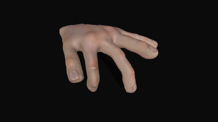 Blend Shape Hand 3D Model