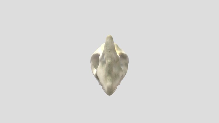SKULL PROJECT BENHAM 3D Model