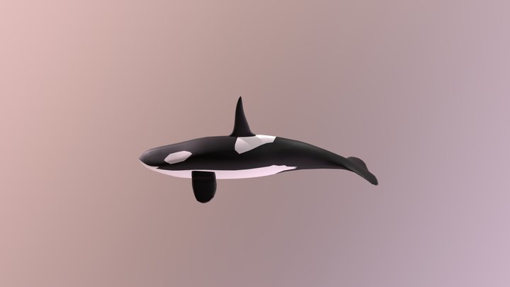 UTS CHAR WHALE FERRY RIZAL FANANI 001 001 3D Model