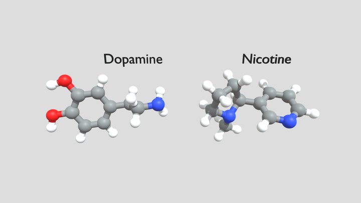 01 Nicotine Dopamine - BARIK Jacques - NICADO