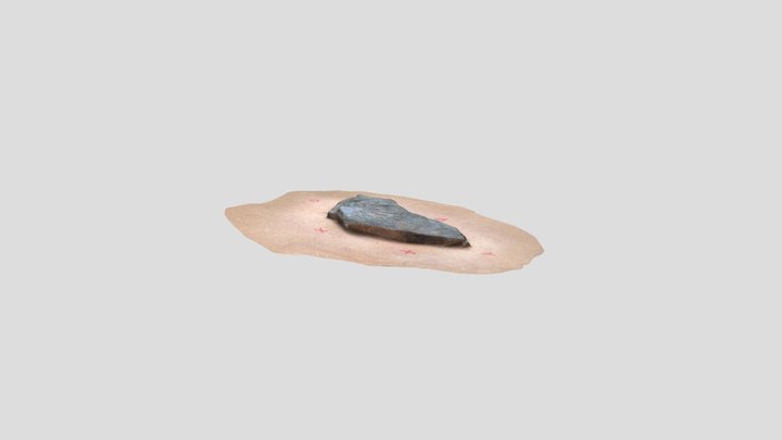 Fossil 3D Model