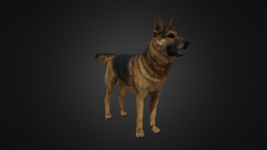 German Shepherd Rig