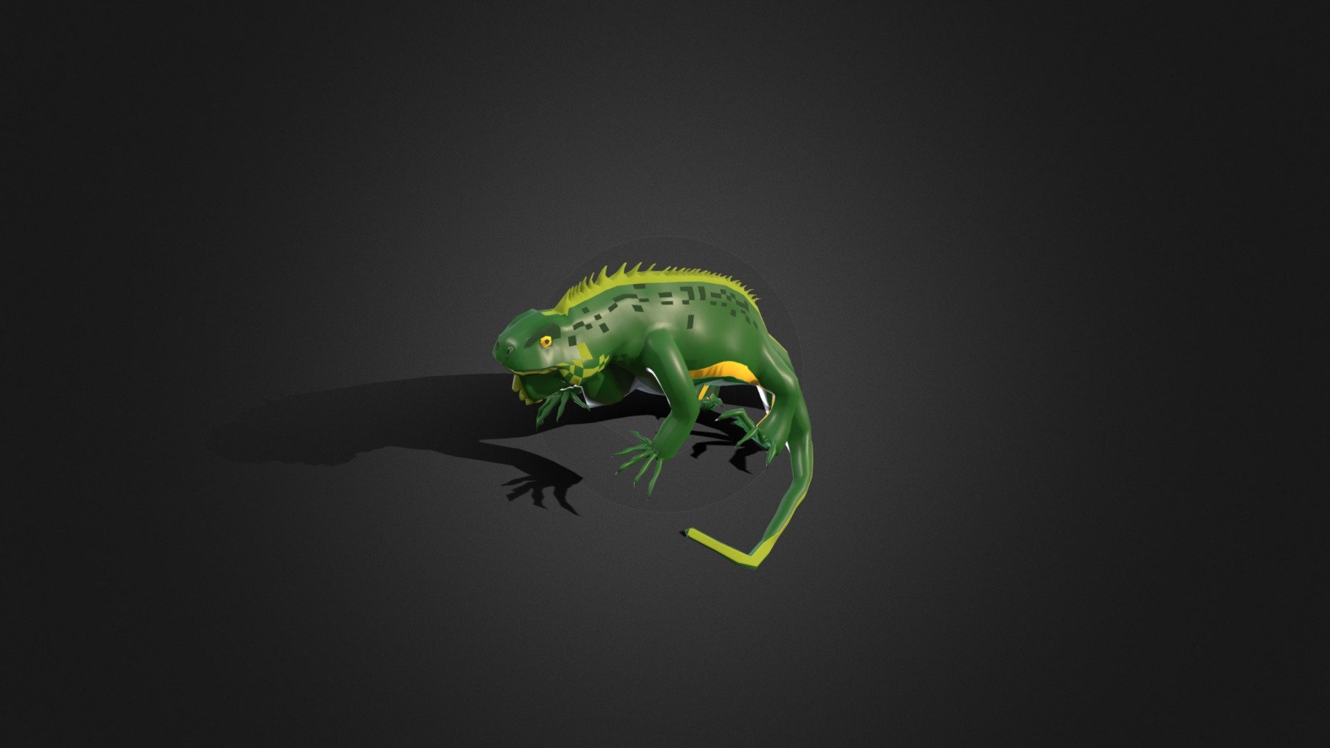 Vertebrado - Reptil - Iguana