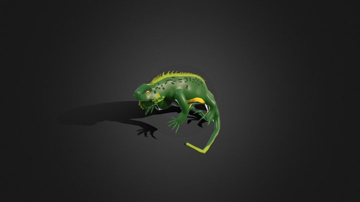 Vertebrado - Reptil - Iguana 3D Model