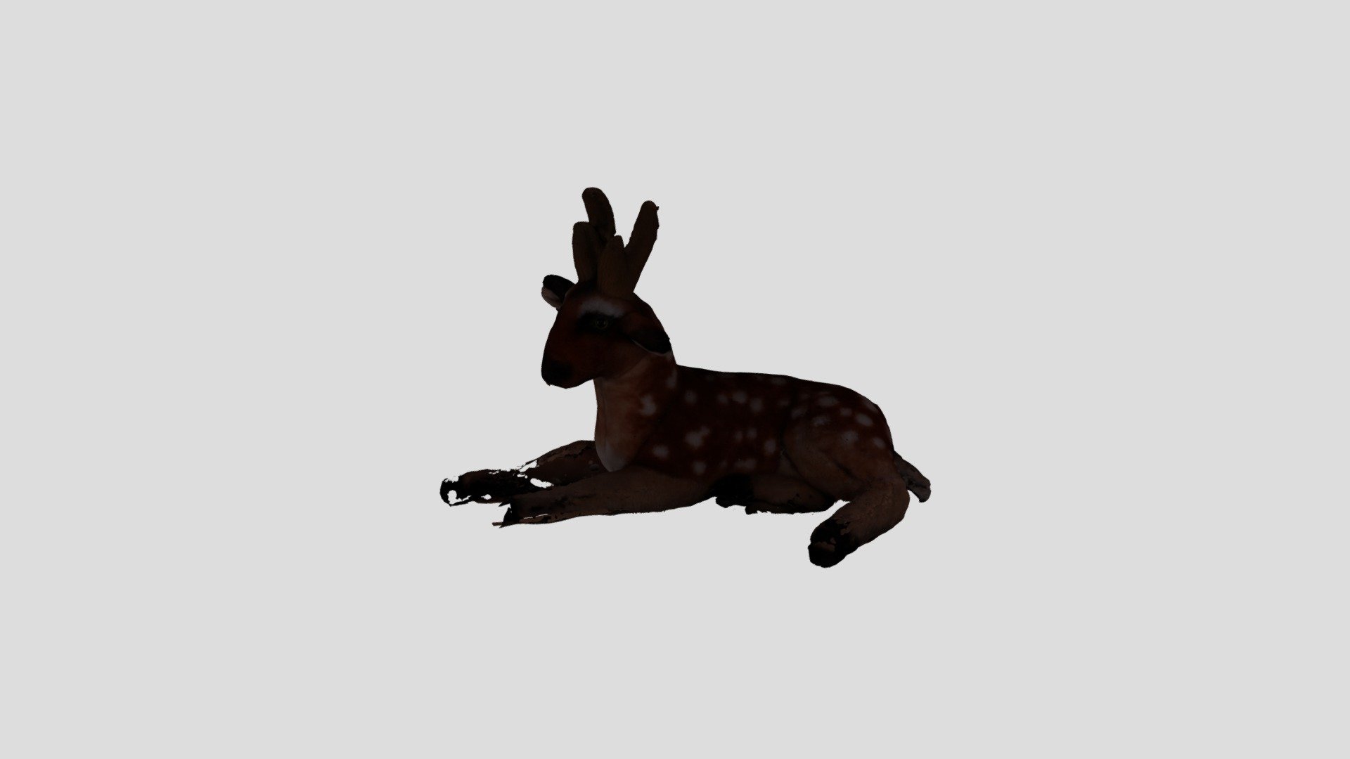 METASHAPE DEER PROCESSED