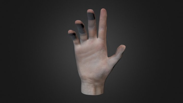 Hand 3D Model