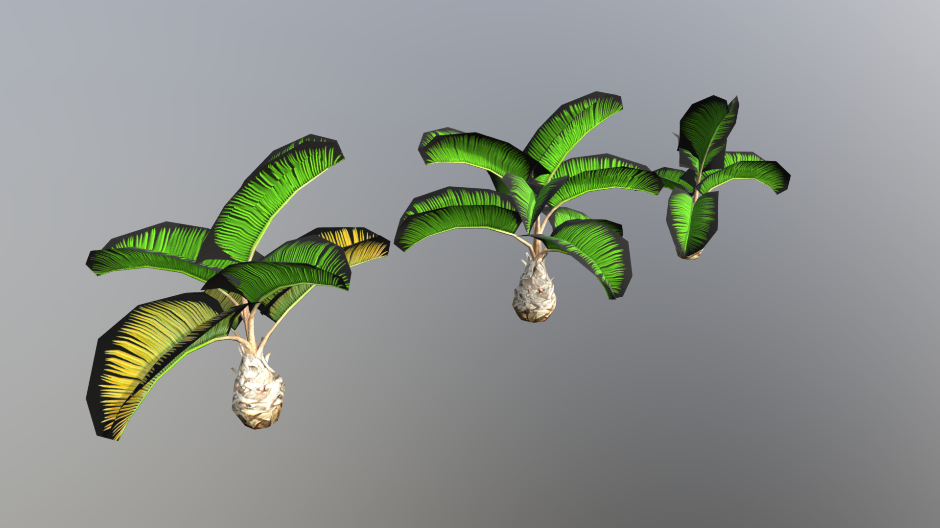 3D model Low Poly Palm 01 - This is a 3D model of the Low Poly Palm 01. The 3D model is about shape.