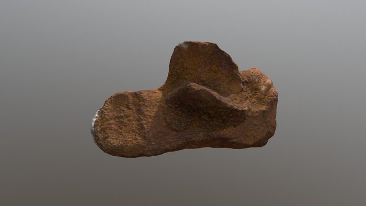 Mystery fossil bone 3D Model