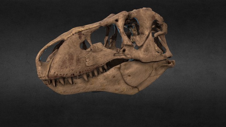 Smithsonian Wankel Rex undistorted 3D Model