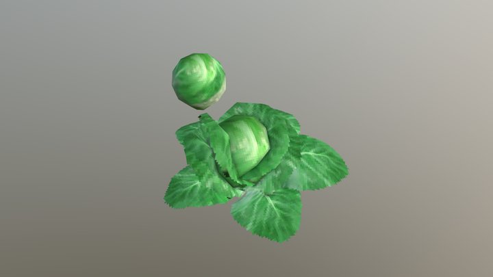 lowpoly Cabbage