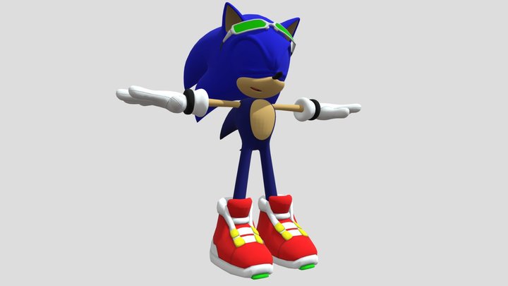 Free Rider Sonic Model 3D Model