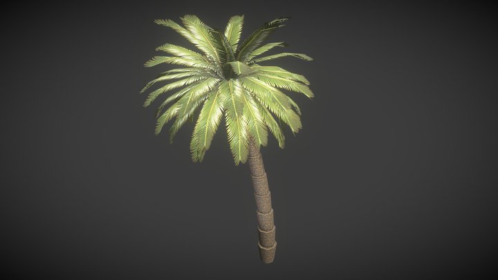 Palm 3D Model