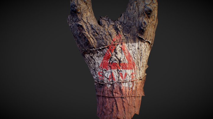 Tree Trunk 3d Scan 3D Model