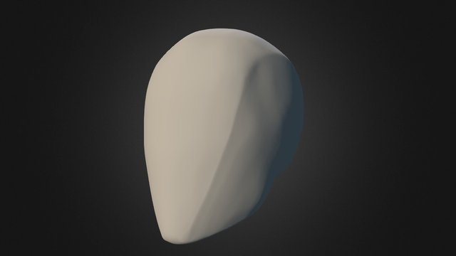 Skull Simplification 2 3D Model