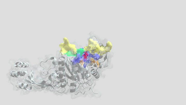 PaPBP3 and Meropenem Interaction 3D Model