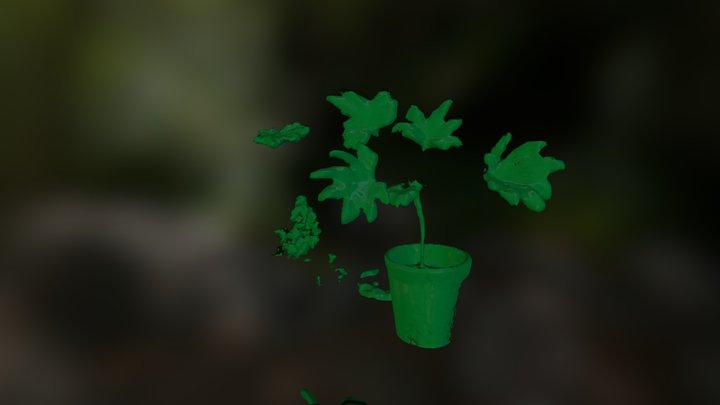 Structure Sensor - test scan 9 - Plant 3D Model