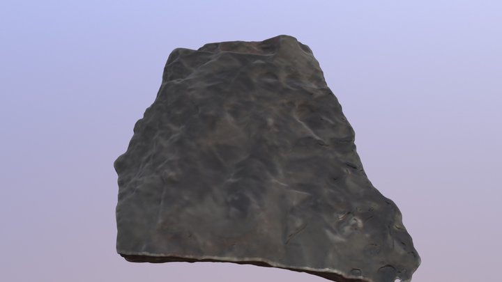 Fossil Fern 3D Model