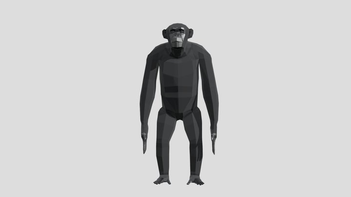 Chimpanzee (male) 3D Model
