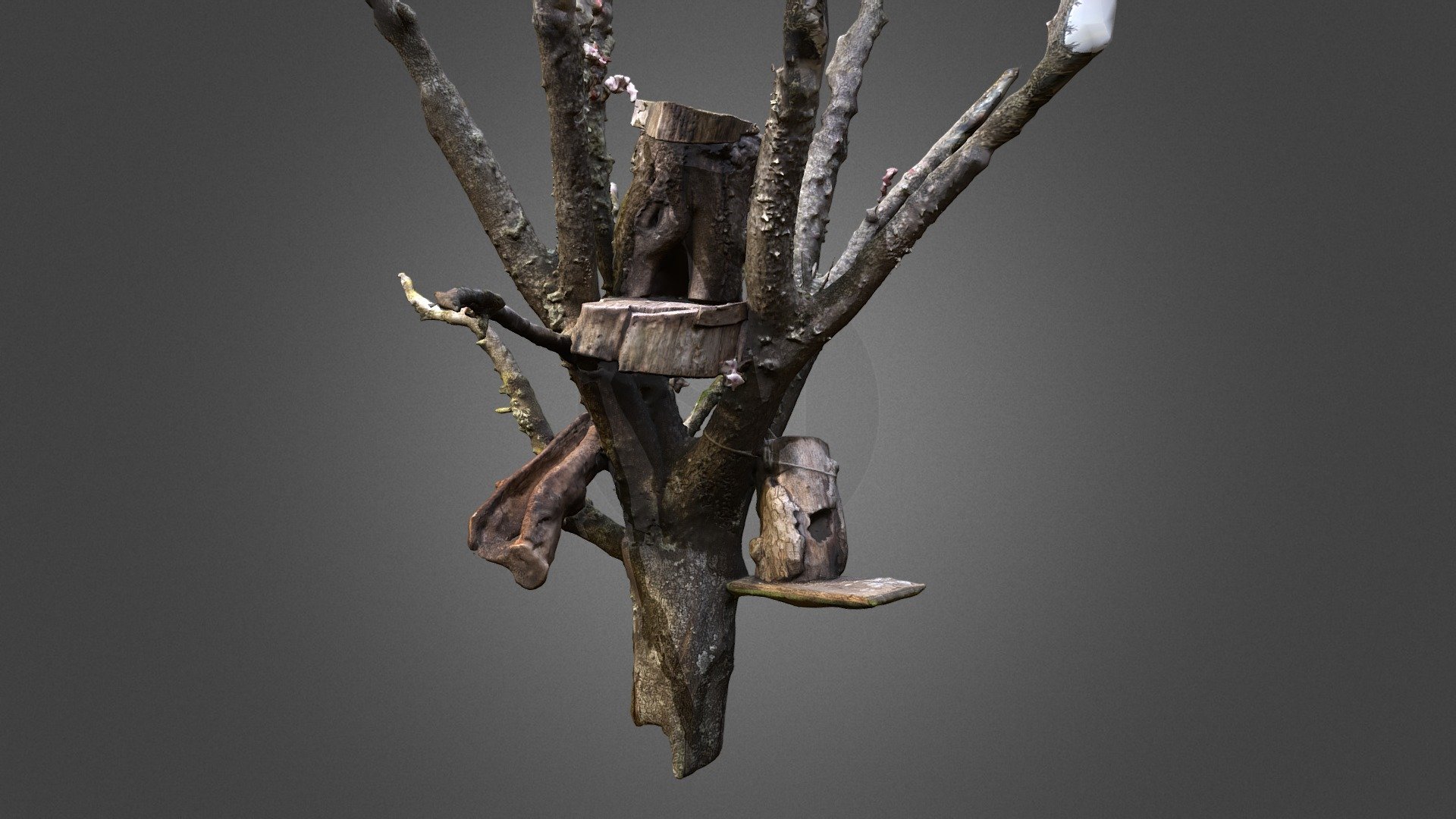 Bird House / Maison pour oiseaux