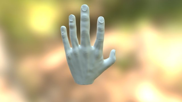 ZBrush Hand Sculpt 3D Model