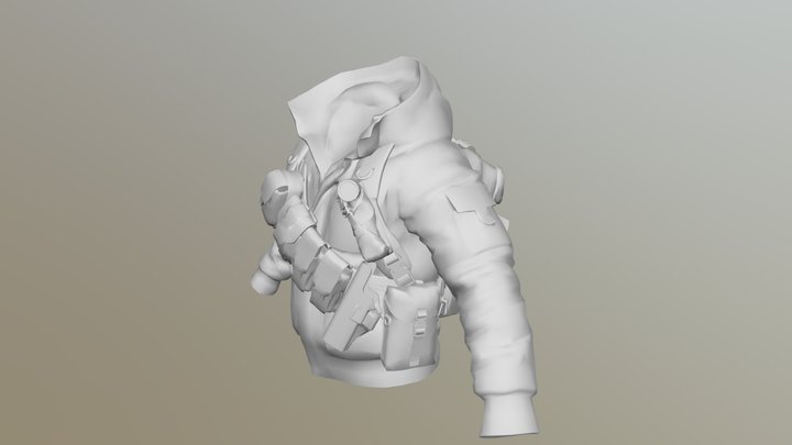 Skinned Jacket 3D Model