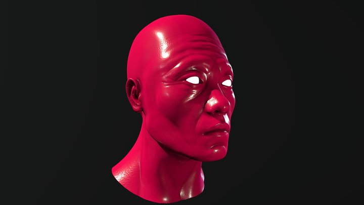 Male Head Sculpt 3D Model