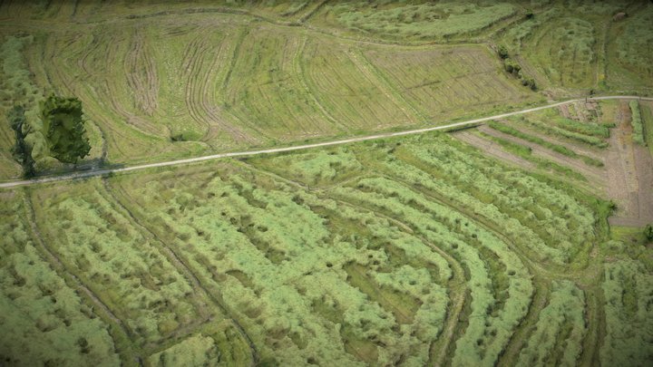 Terraced fields, farmland – Gratis 3D-model STL