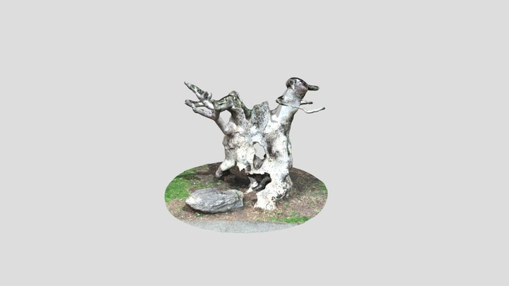 Hollow tree 3D Model