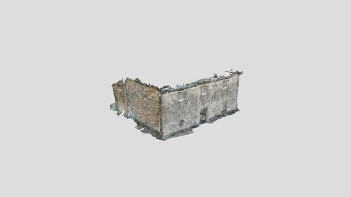 Untitled Scan 3D Model