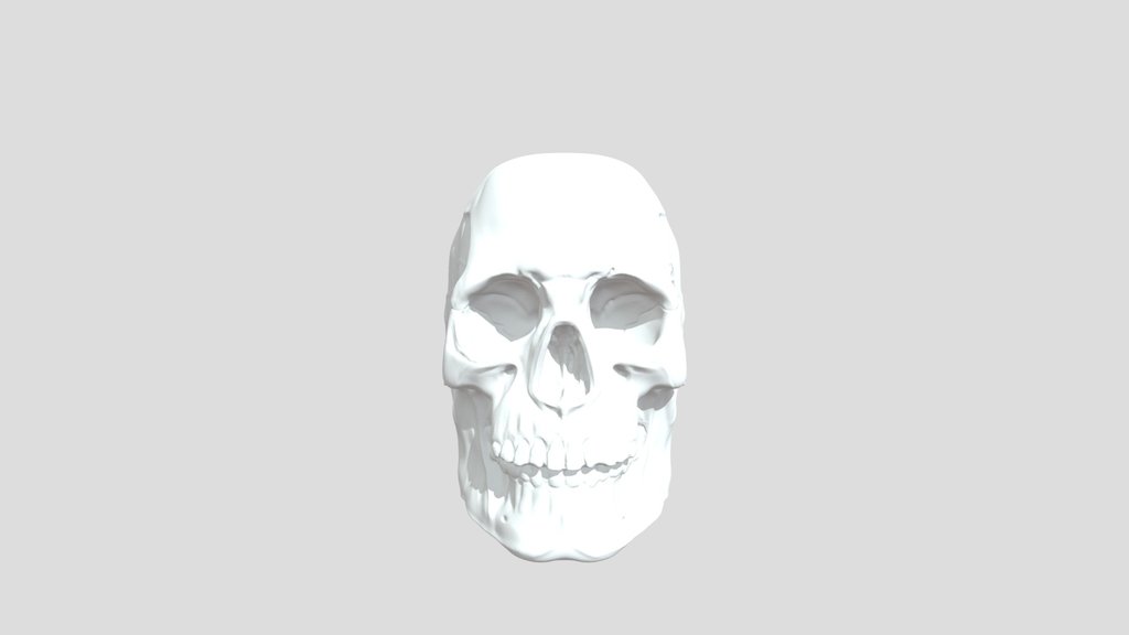 Skull 3d Sculpt