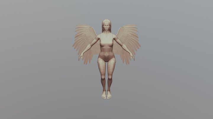 Angel test 3D Model