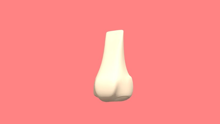 Nose 3D Model