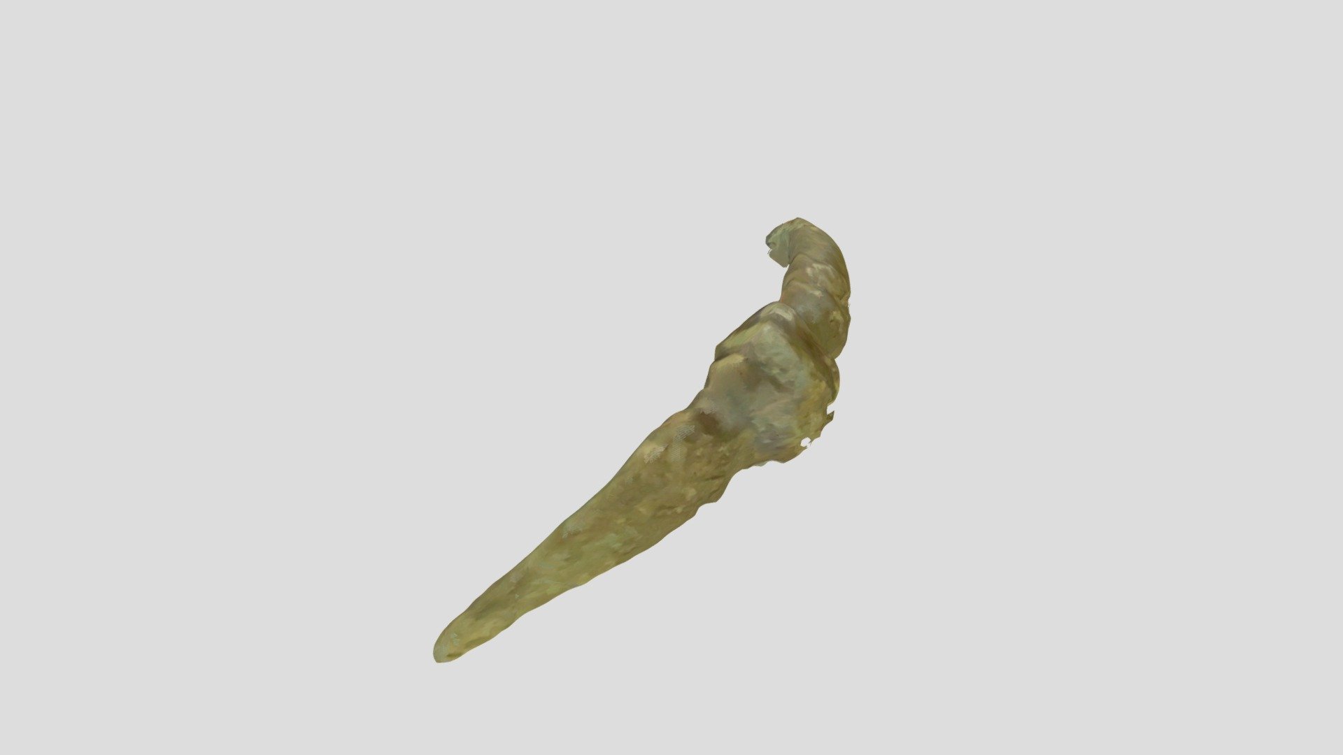 WMID-830537 Roman Trumpet Brooch Fragment - Download Free 3D model by ...