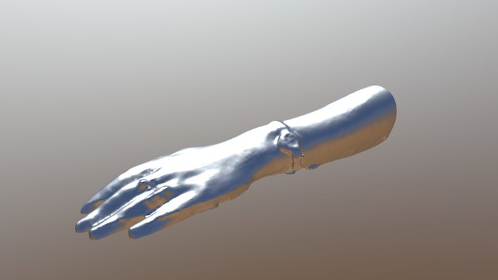 שניידר שקד סריקת תלת מימד 3D Model