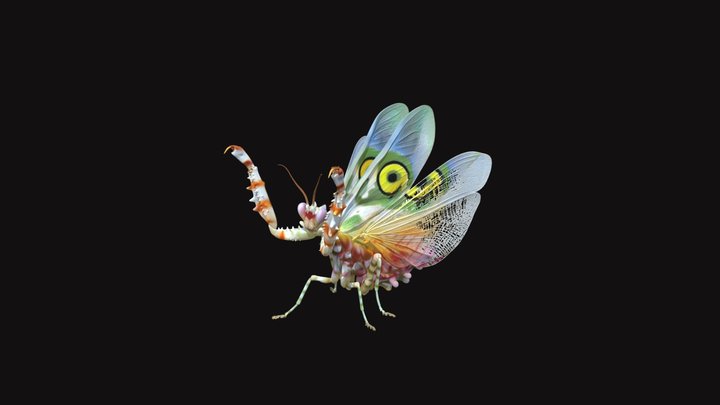 Prismatic Dragonfly – Modelo 3D gratuito STL