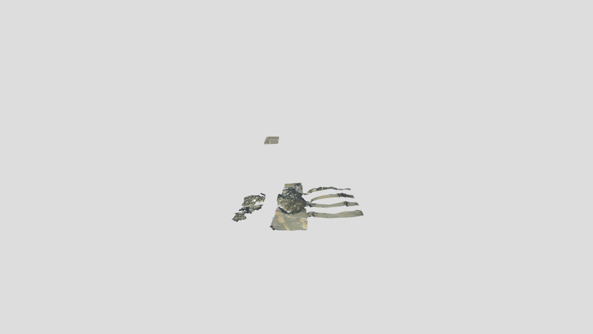0079_ElkCreek_Mesh_6f4222ee